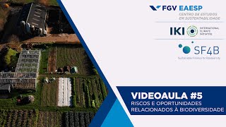 Fgvces - Riscos E Oportunidades Relacionados À Biodiversidade