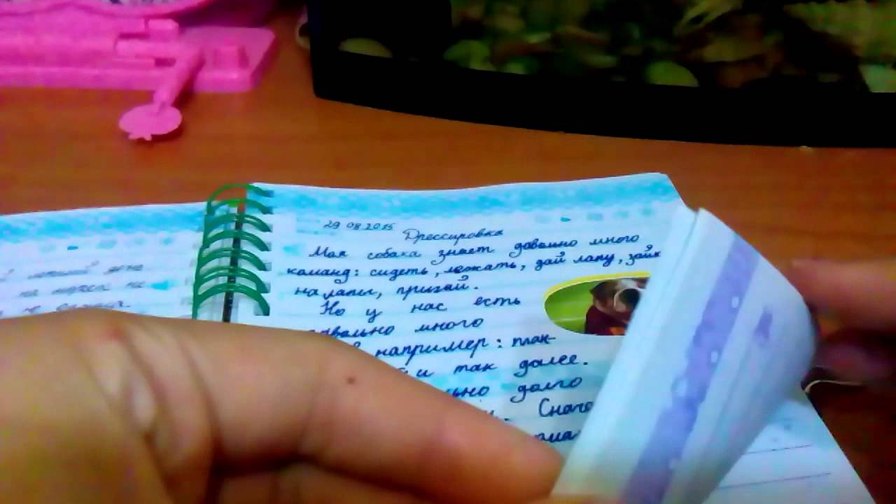 Дневник моей собаки ¦ - YouTube