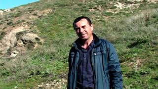 картинка: Долно Српци село во  Подмогилска регија-втор дел