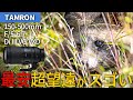 最安超望遠レンズがすごすぎる 150-500mm F/5-6.7 Di III VC VXD (Model A057) ニコン Z マウント用