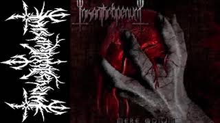 Misanthropenum [FIN] [Symphonic Black] 2010  - Mere Odium (Full Demo)