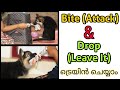 Attack  bite  leave it  drop   malayalamkerala dog training  