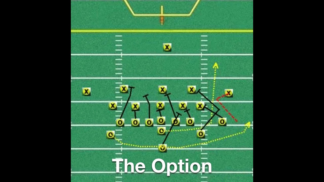 The Option 2024 Week 13