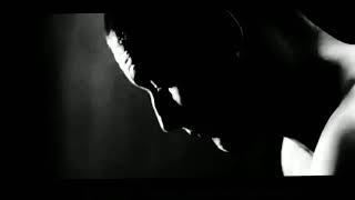 Rammstein - Stripped (video clip) (minus)