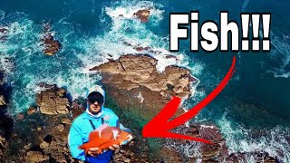 FISHiNG for RED ROMAN on a BEAUTIFUL STRETCH OF COASTLINE! WINTER FISHING FOR EDIBLE FISH!