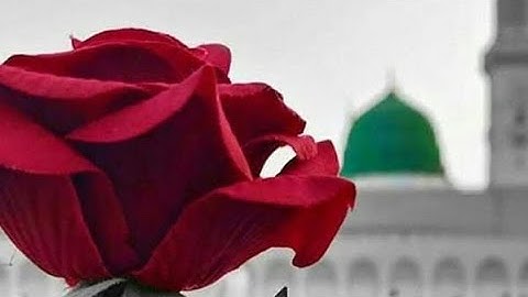 سورة الرعد (ص- ٢٥٣) - الشيخ محمد رشاد الشريف رحمه الله ...