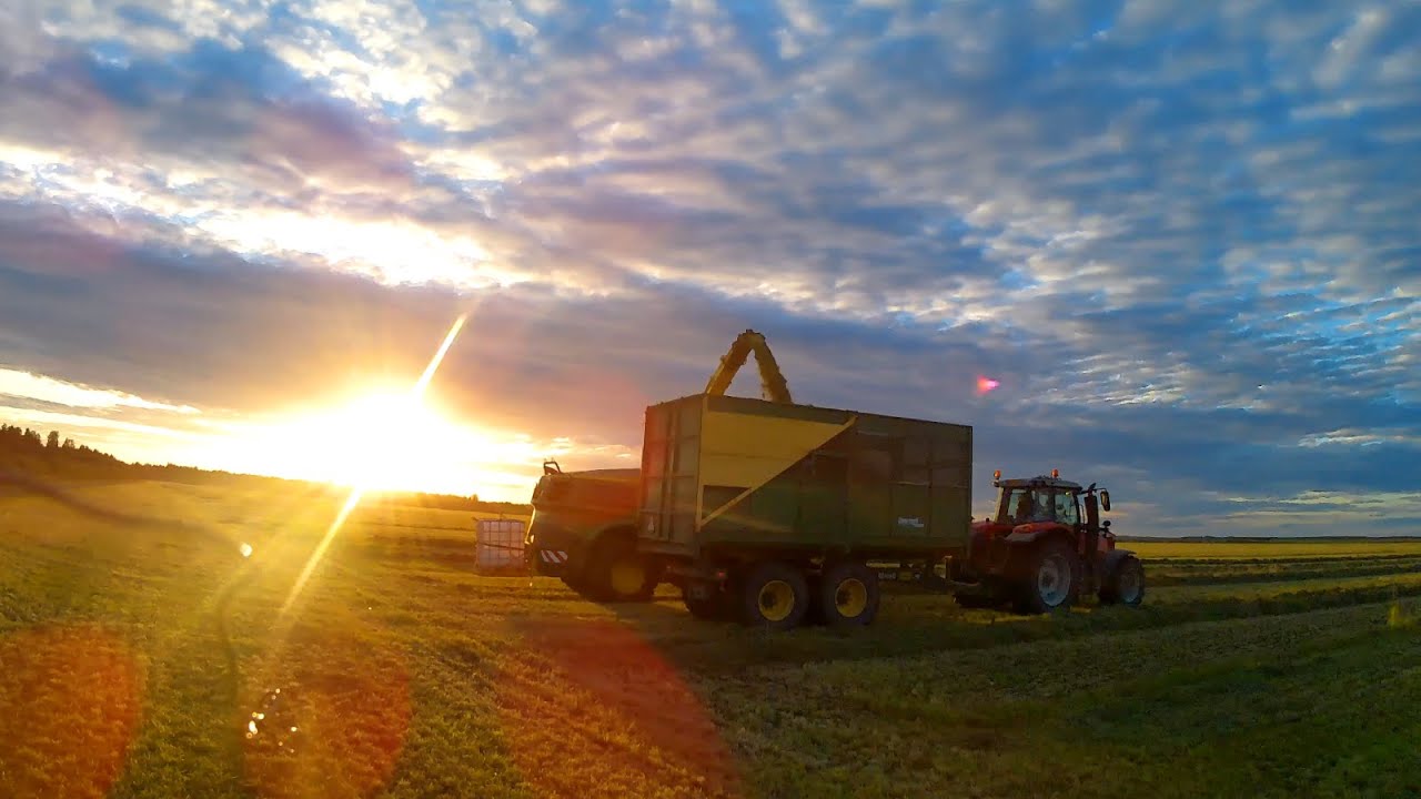 Rehun ja koneiden korjuuta haapavedellä.