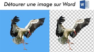 TUTO BOY, COMMENT DÉTOURER UNE IMAGE SUR WORD