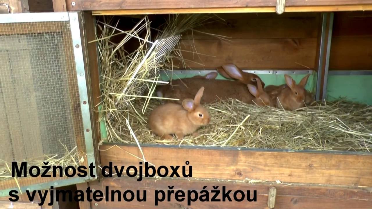 Králíkárna - prezentace