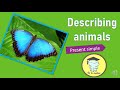 DESCRIBING ANIMALS - PRESENT SIMPLE - BASIC LEVEL