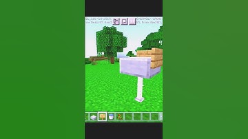 This TikTok Hacks Have 100 Million views 😎😮 #shorts #minecraftshorts #youtubeshorts #shortvideo