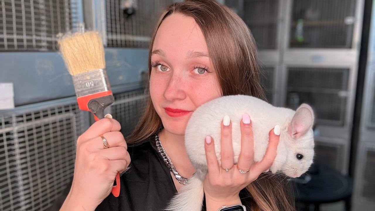 Как я содержу шиншилл в СВОЕМ Питомнике? | Что я ДЕЛАЮ каждый день