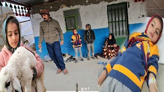 Download Lagu A Day of Service and Family Happiness: From Collecting Yellow Autumn Leaves to Treating Hanieh 🌟🍂 MP3