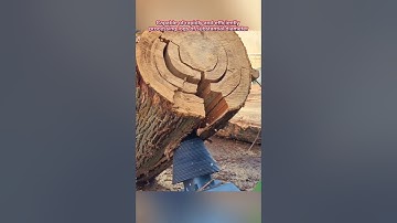 Screw-type log splitter ##❗️❗️