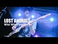 Lost Animals - Jadadaya