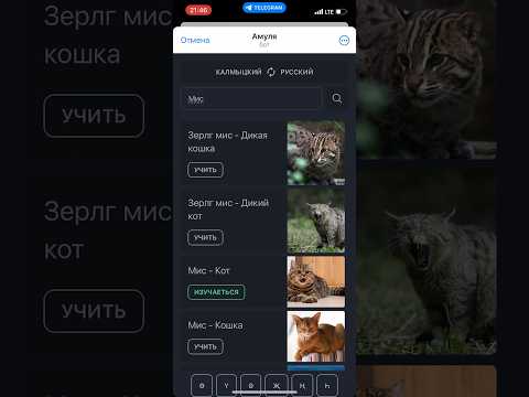 Амуля - телеграмм бот для изучения калмыцкого языка 😉 #калмыкия #хальмгуд #хальмгкелн #элиста