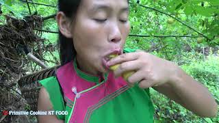 Primitive Technology Fruit Picking by Hand - Survival skill find natural fruit food eating delicious