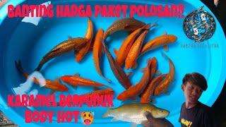 KARAMEL BERPUNUK DARI SANG MAESTRO POLOSAN,BANTING HARGA DISINI !!