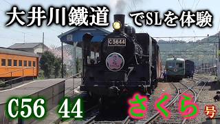 大井川鐵道の旅 C56 44牽引『さくら号』