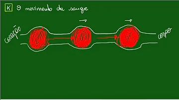 O que garante o movimento do sangue nas veias e nas artérias?