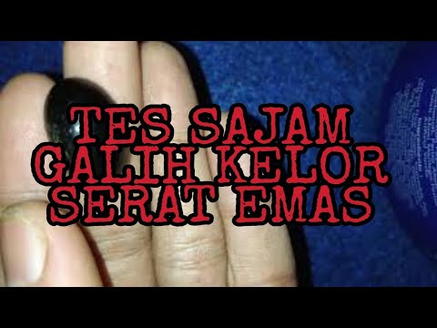 Fosil Kelor SERAT EMAS (Update Stok Maret 2019). 