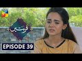 Qurbatain Episode 39 HUM TV Drama 17 November 2020