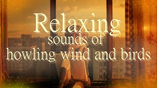 Nostalgic city sounds (Relaxing sounds of howling wind and birds in a Slavic European city)