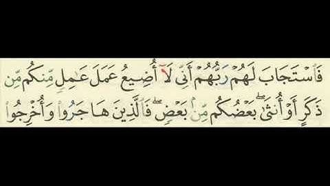 جزاء العاملين أواخر سورة آل عمران من الآية 194 إلى الآية 195 مكتوبة وبجودة عالية