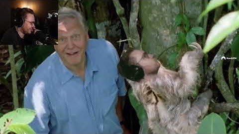 David Attenborough Meets Ohnepixel LMFAO!!!!!!!!!!!!!!!!!!!!!!!!!!!