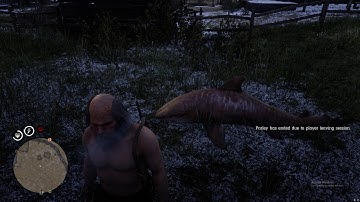 RDR2 Hackers problem