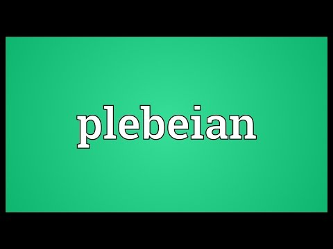 Video: Wat Betekent Het Woord "plebejer"?