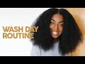 Natural Hair Wash Day to Blowdry Routine 🦁 | 4A Curl High Porosity Hair