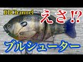 【バス釣り】depsブルシューターはえさ！？