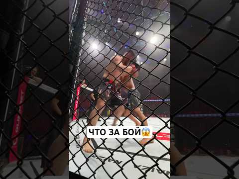 Вот это бой