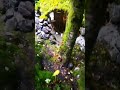 пришло время взять топор.. исцеление планеты
