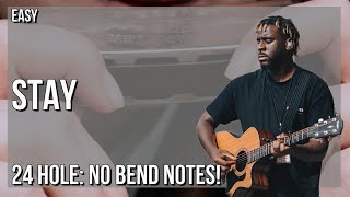 How To Play Stay If You Wanna Dance By Myles Smith On Tremolo Harmonica 24 Holes Tutorial