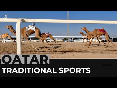 Qatar camel racing: FIFA fans head to the track