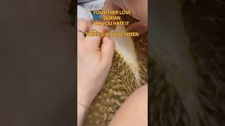 DURIAN IT’S LOVE OR HATE #shorts