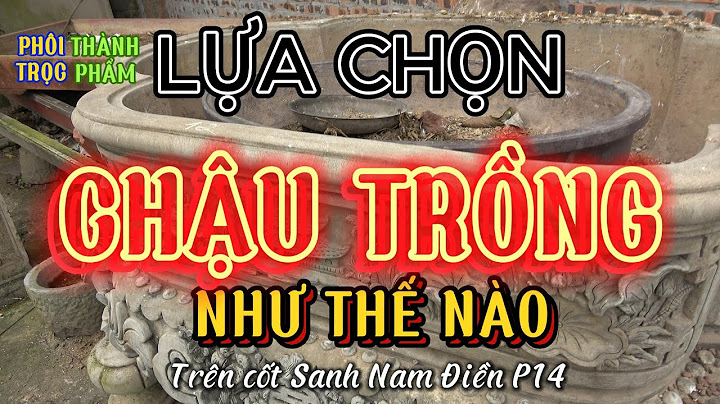 Cây thốt nốt trồng bao nhiêu năm có trái năm 2024