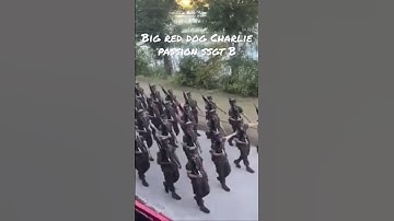 Thumbnail of Heels of Thunder #drill #shortsvideo #shorts #marinecorps #military #usmc #bootcamp