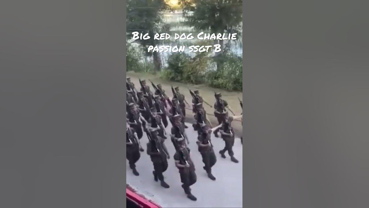 Heels of Thunder #drill #shortsvideo #shorts #marinecorps #military #usmc #bootcamp