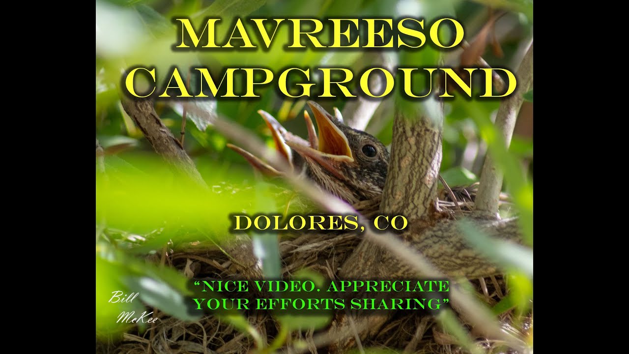 Mavreeso Campground Colorado - 4k Campsite Videos (including Accessibility)