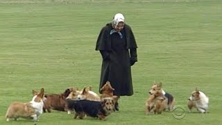 Inside the royal life of the Queen's corgis