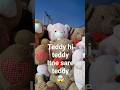 teddy bear!teddy! sb se saste! zirakpur vip rod#virelrel #love #topteddy!valentines