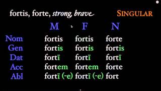 3rd declension adjective