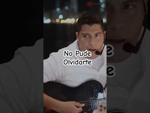 No Pude Olvidarte