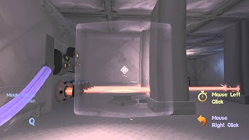 Quantum Conundrum - Cat