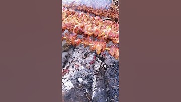 Thịt xiên nướng khổng lồ ẩm thực tây bắc mới nhất | Ẩm Thực Shorts #shorts