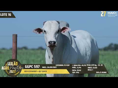 LOTE 16   GGPC 597