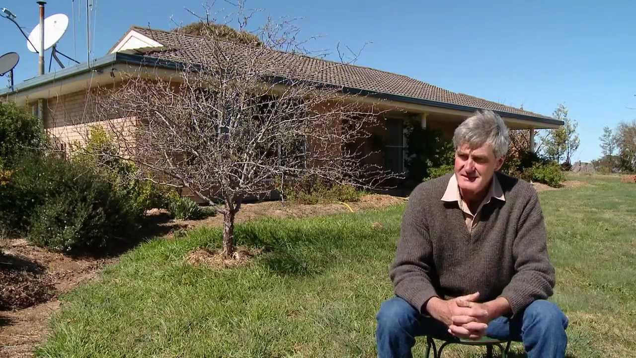 Holistic management - 